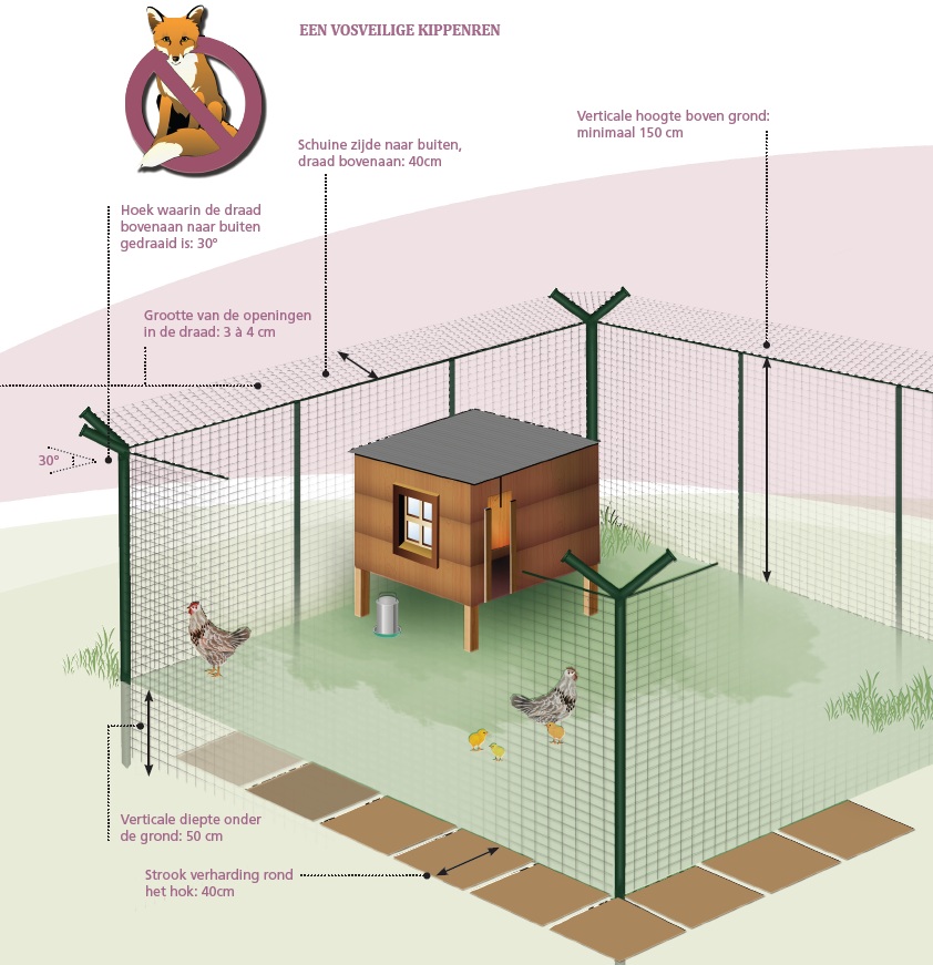 Kippenhok Voor 3 Kippen Chicken Coops